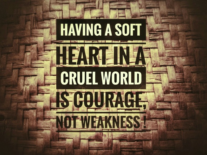 Soft Heart in a Cruel world♥♥