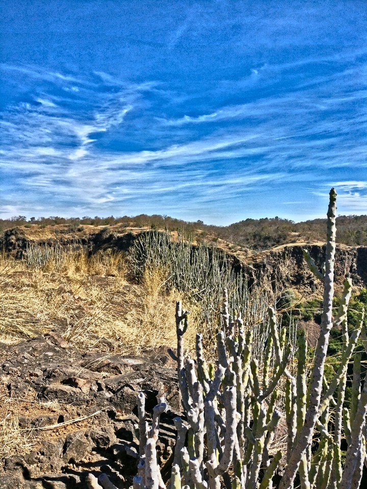 Bamniya Kund forest