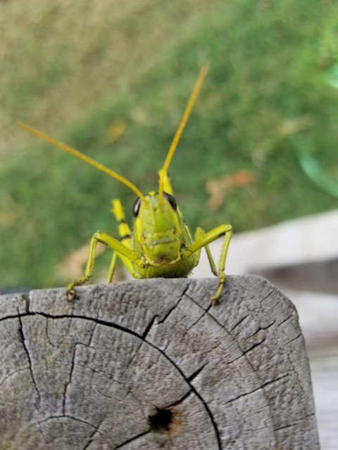 Hi!