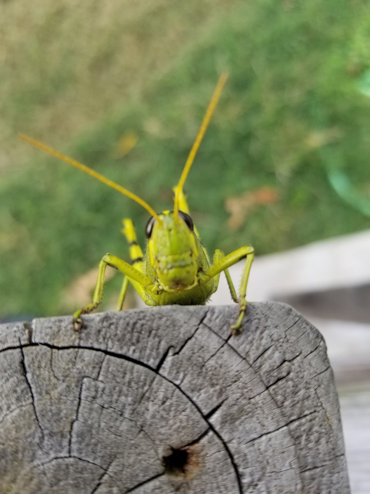 Hi!