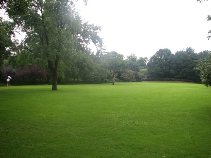 Green in Spring