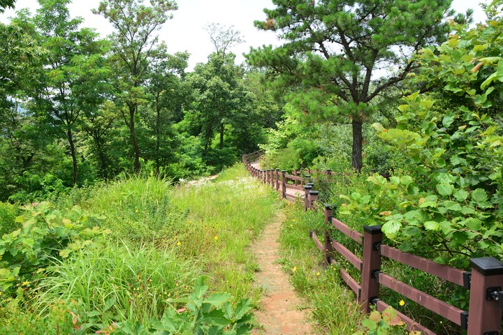 용마산이미지