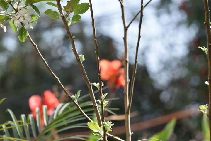 root to root