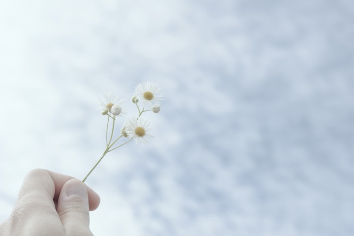 당신을 위한 꽃