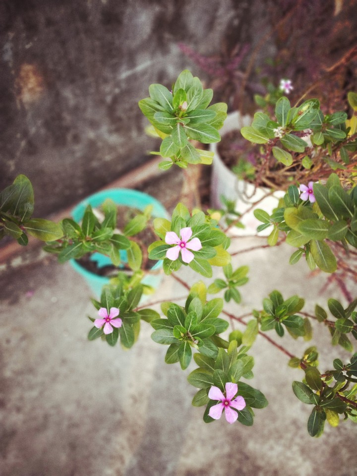 Click...