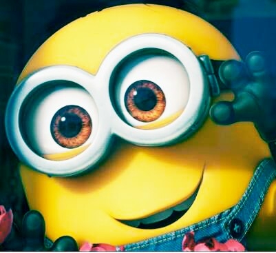 minion❤❤❤