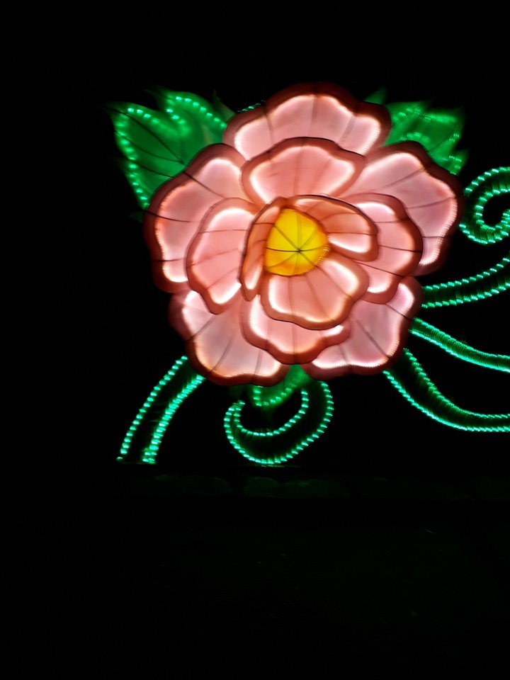 Lichterweld
