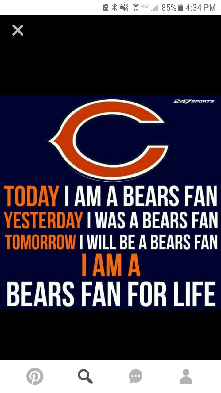 bears