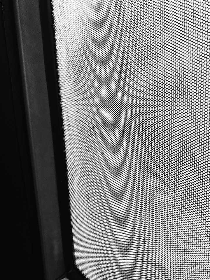 Window