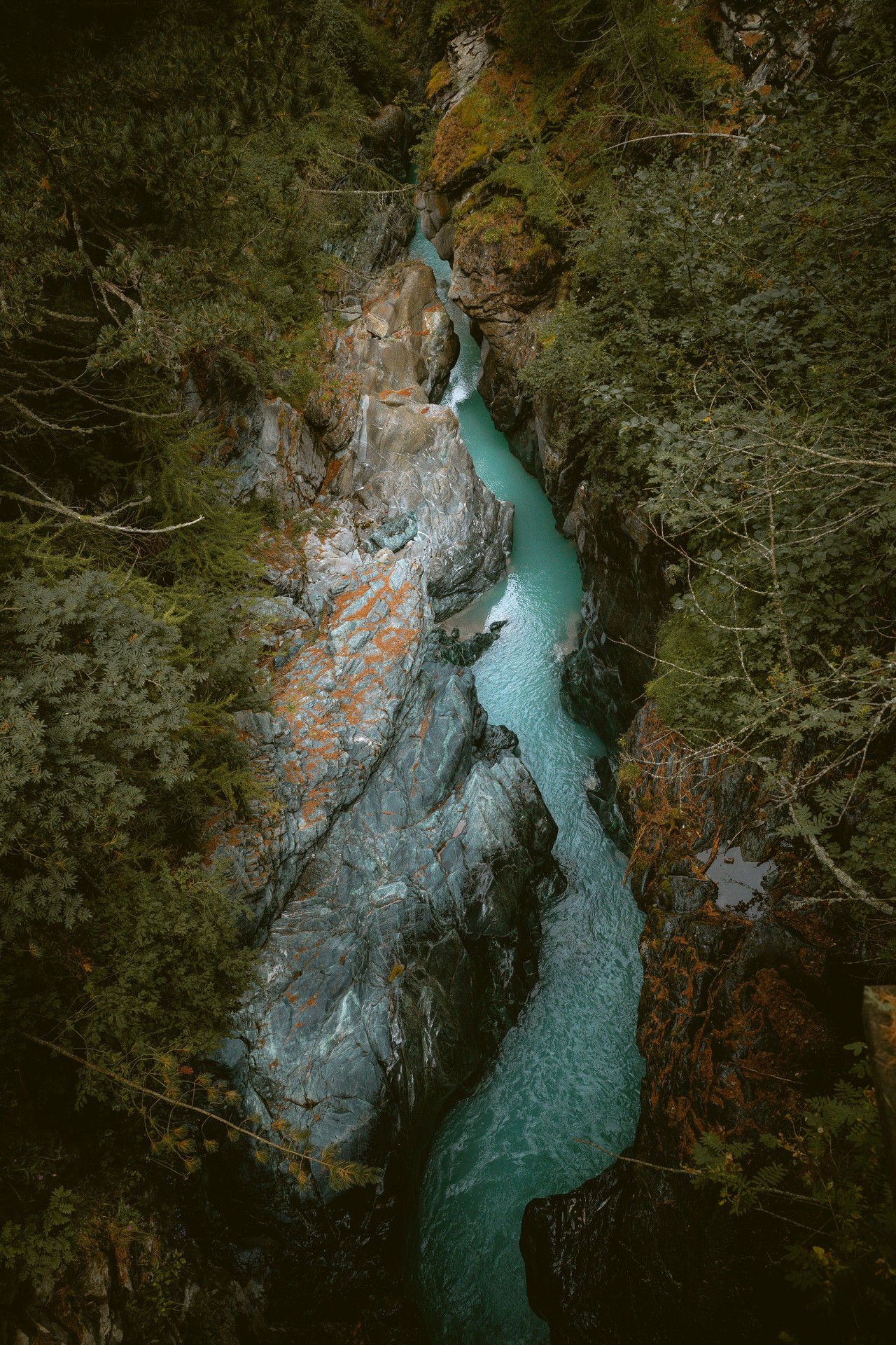 Wilderness, stream duvar kağıtları