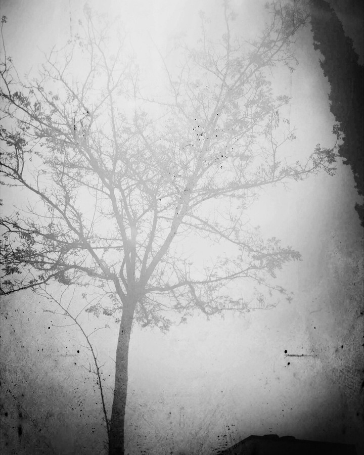 Dark