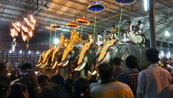 My festival