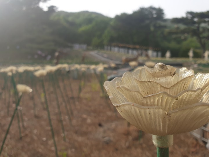 (ummm.. fake) flowers