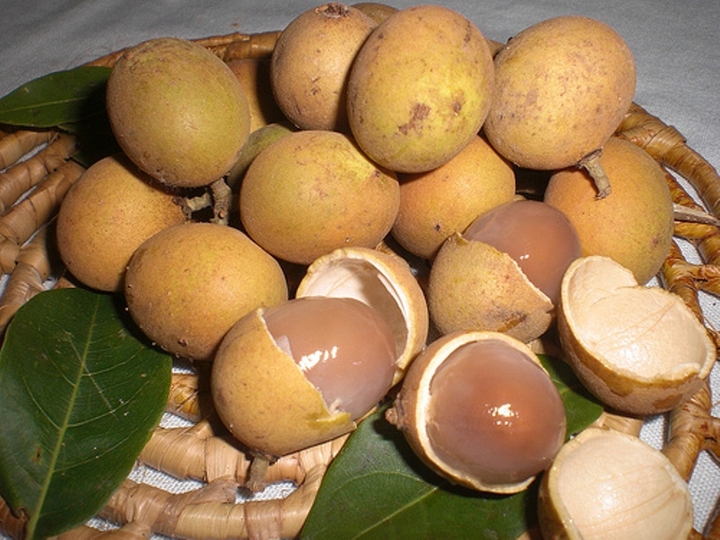 fruta Pitomba  do Norte do brasil