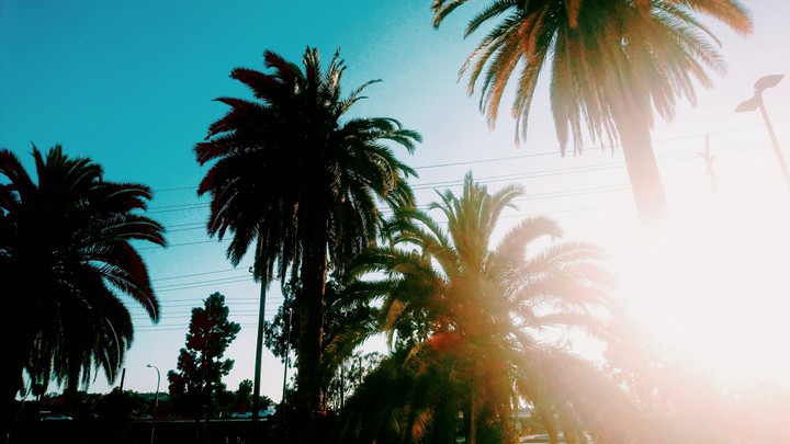 LA