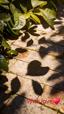 sfondi shadow, backlighting