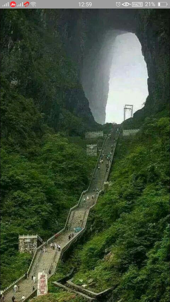 Awesome Nature