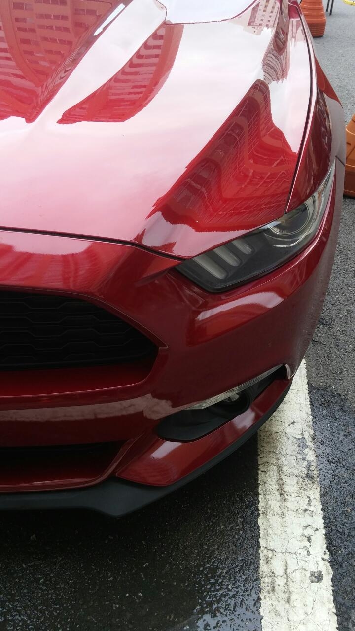 mustang