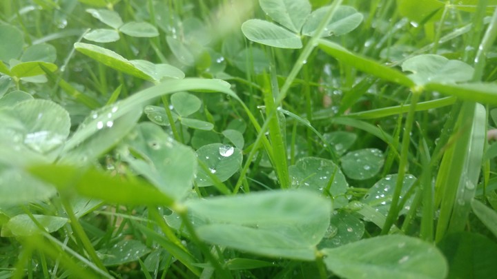 luck