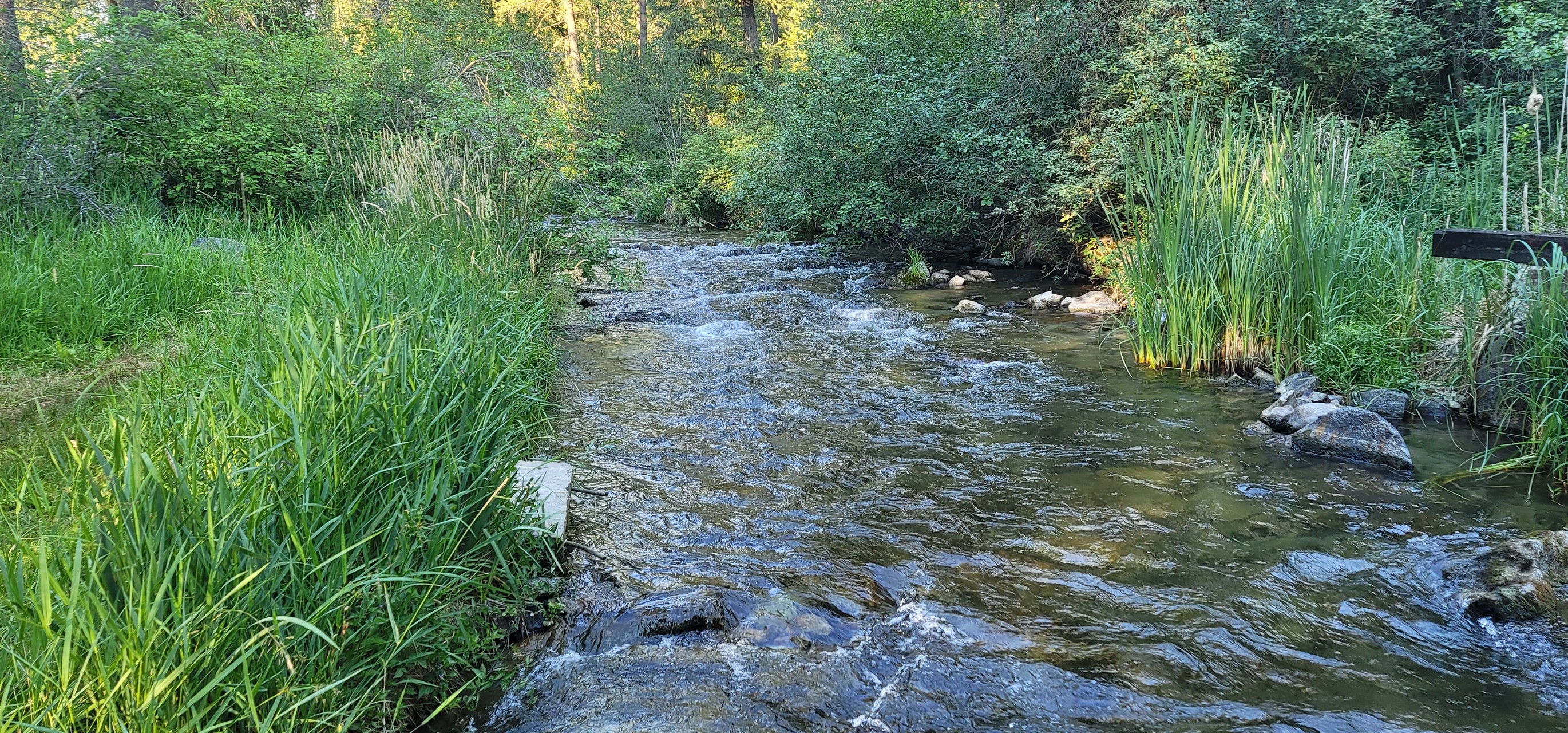 Water Stream in Elk Park