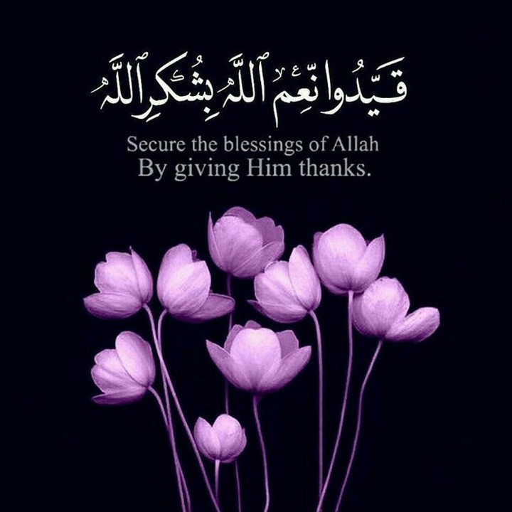 Please follow for more ❤⚘
