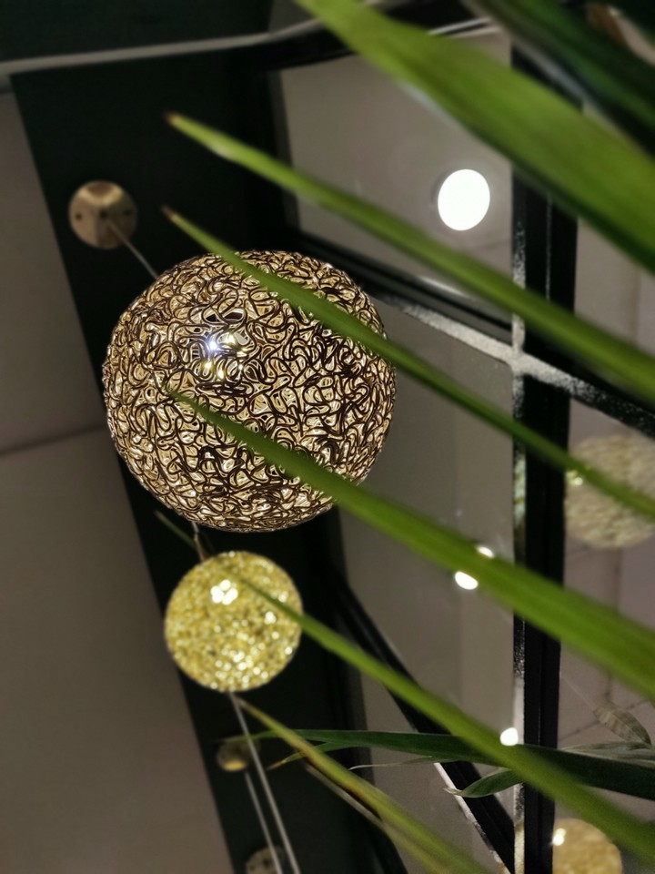 Plants and lights