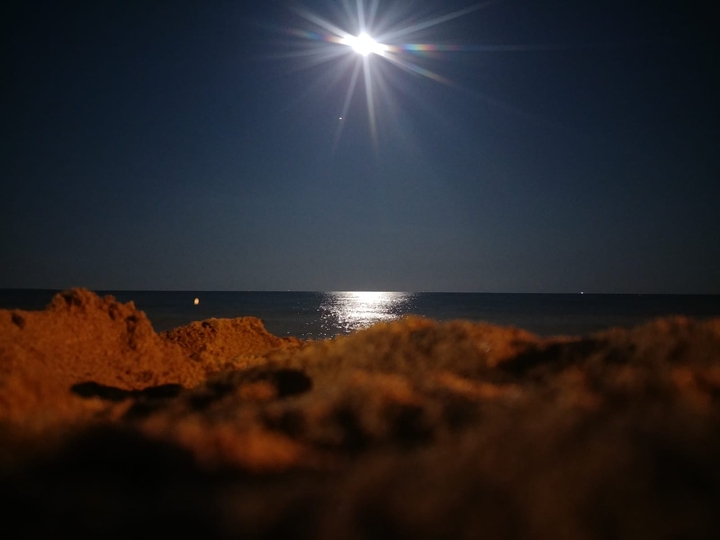 sea
