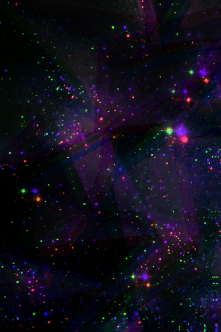starlight daze