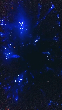 fiber optic tree