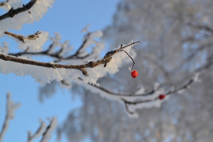 Winter