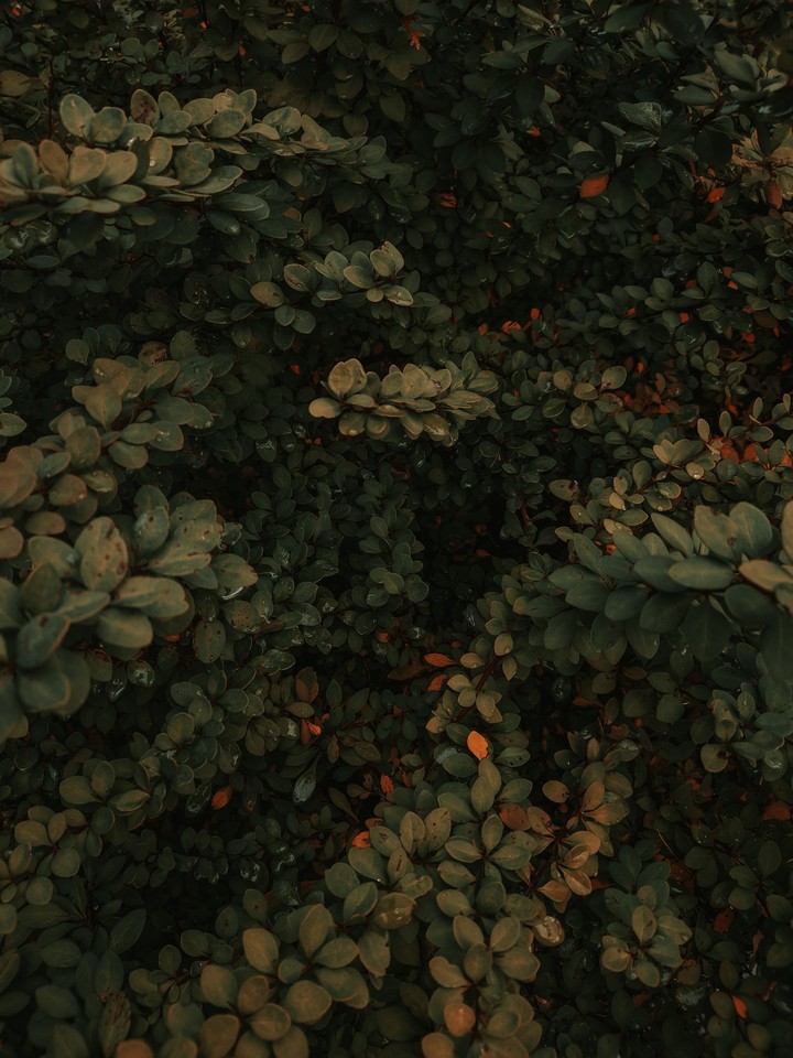 ?