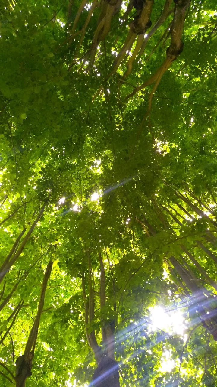 ,