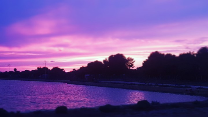 Purple Sunset