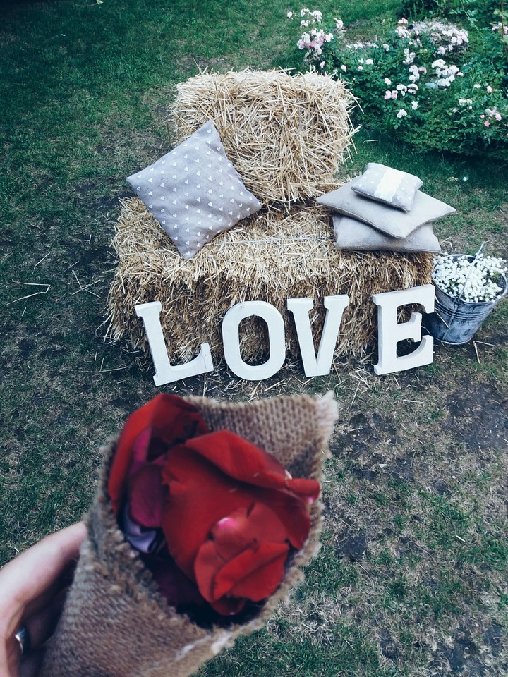 Love is everywhere