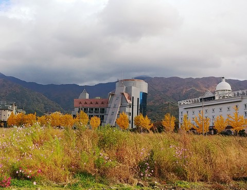 fall