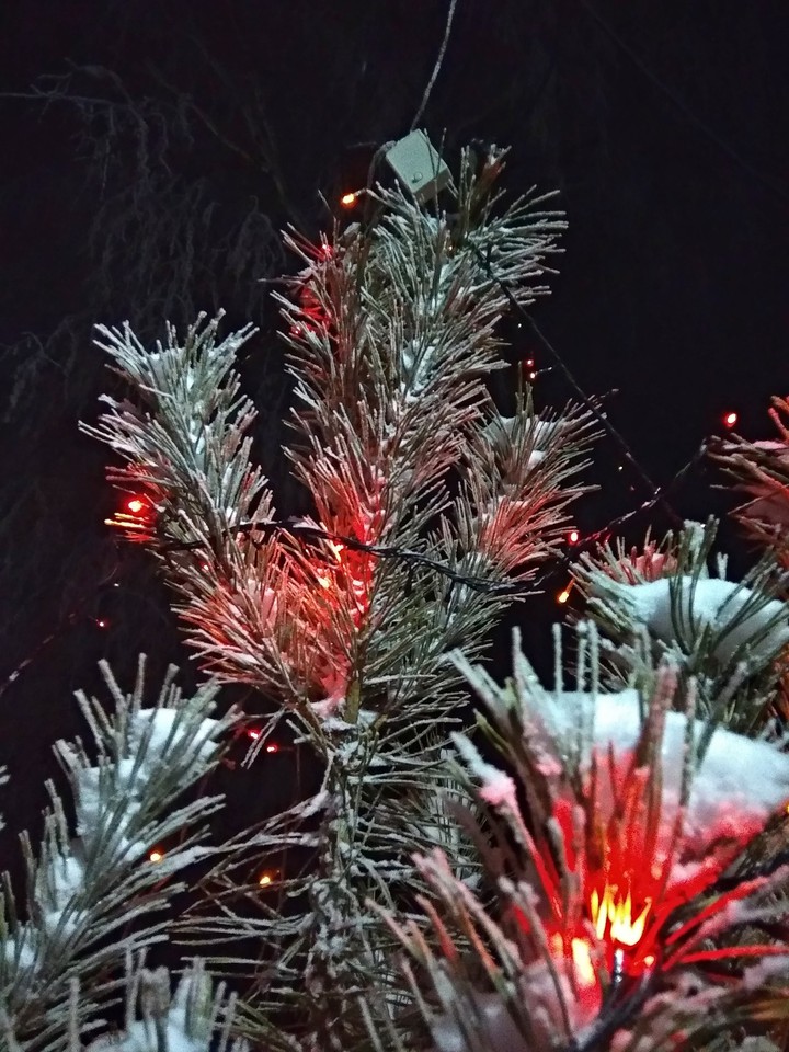 new year