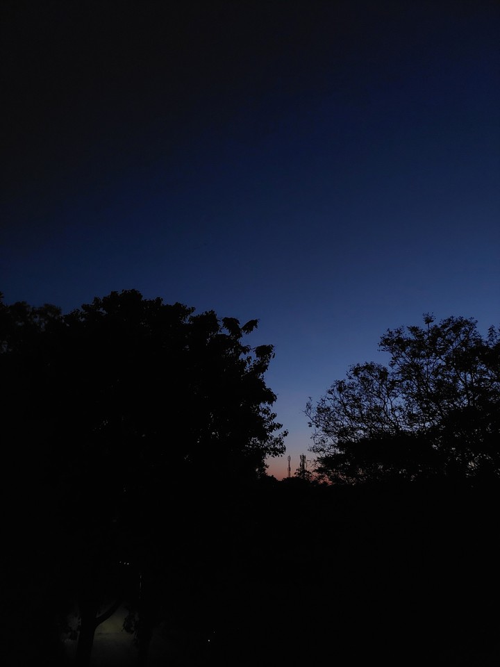 Evening