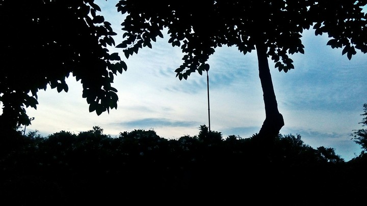 Black and Blue