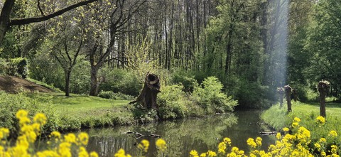 forest, Garden wallpapers