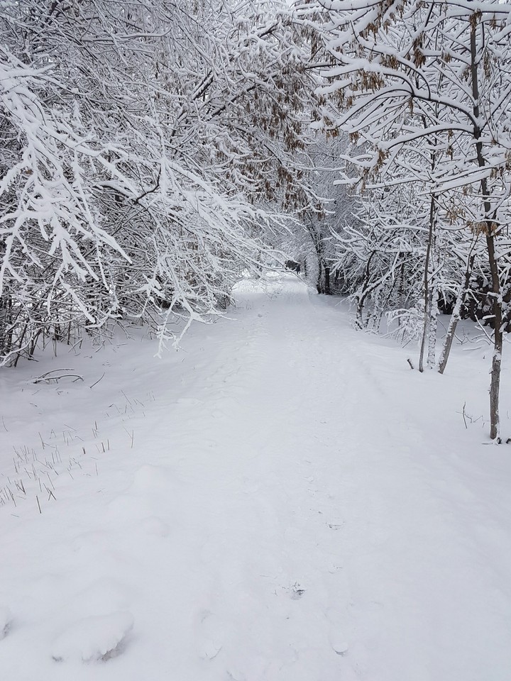 winter morning