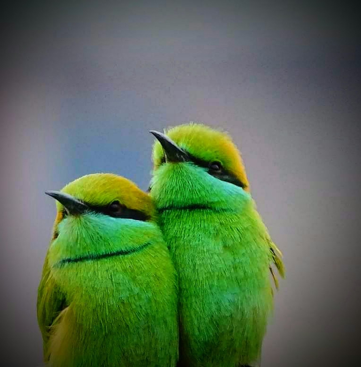 U and Me