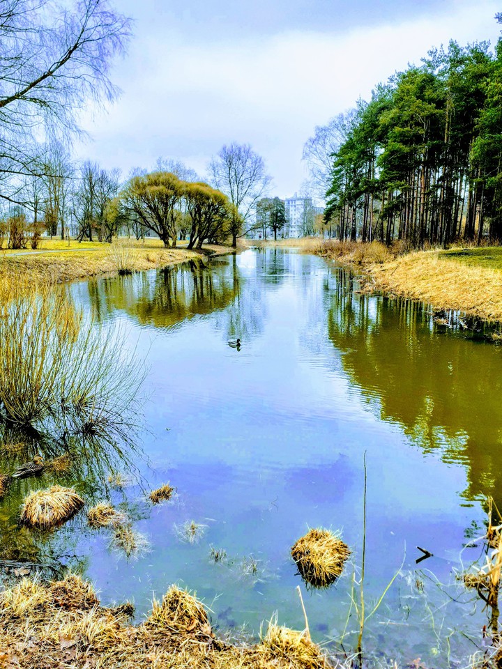 Парк Александрино