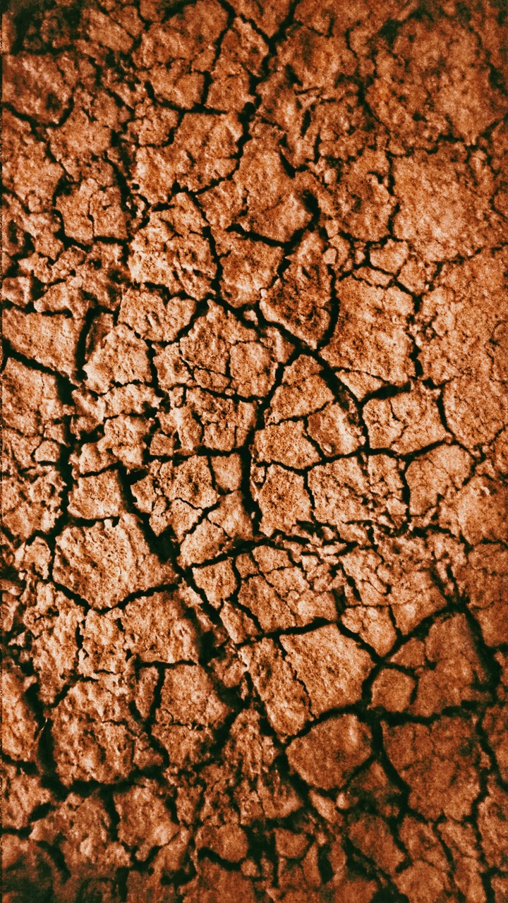 muddy