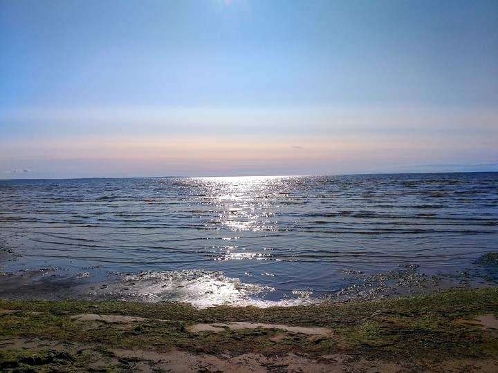 14.07.2019 г. Финский залив