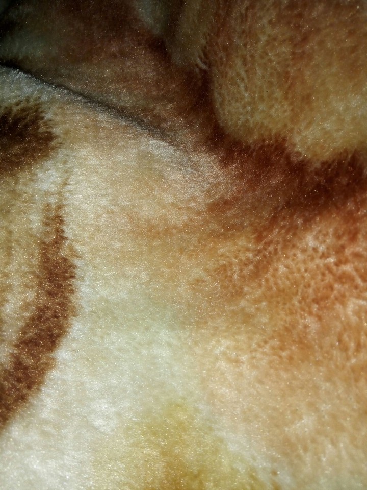 Textures