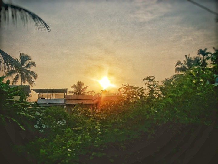SUNLOVE