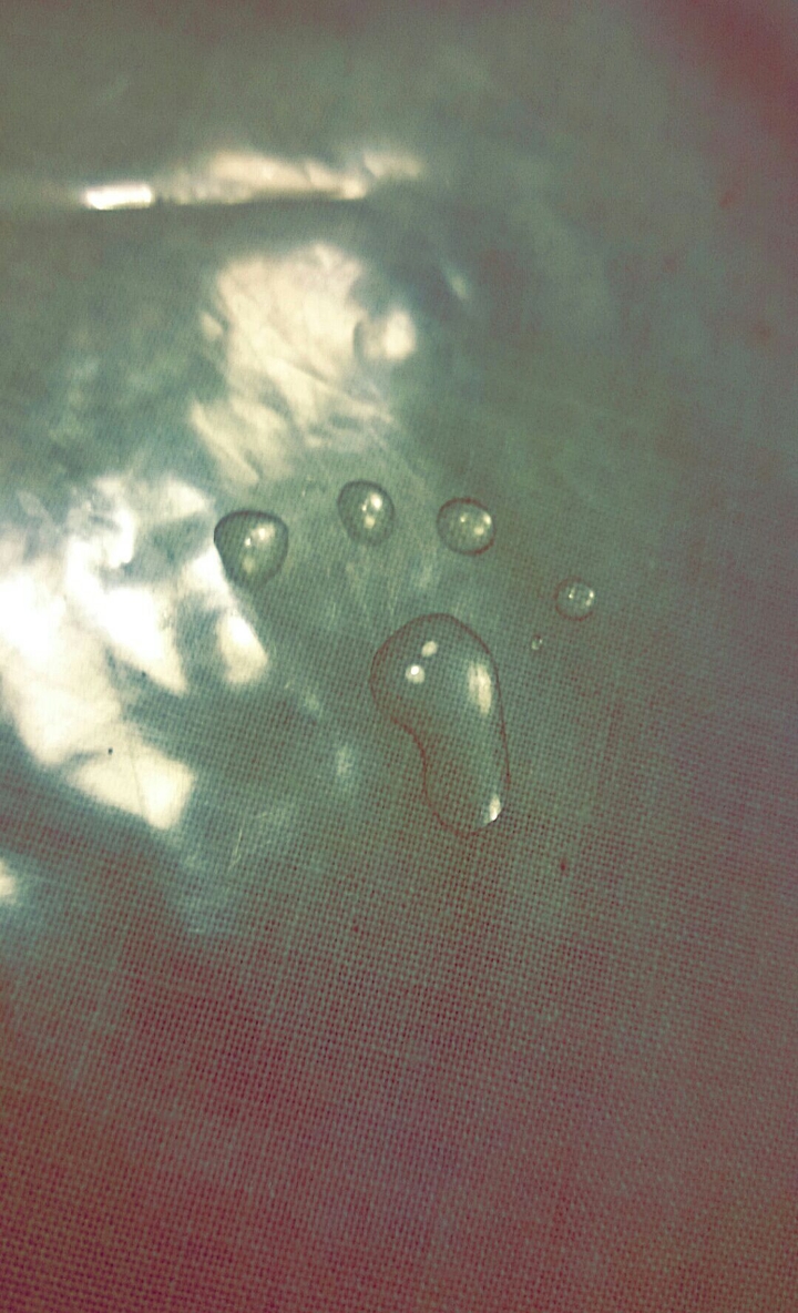 foot