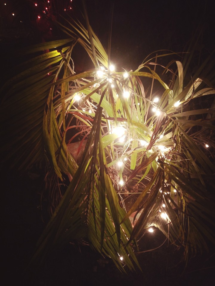 low light