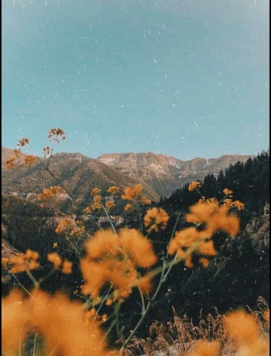 ?