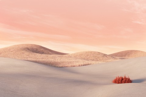 tapety wind, sahara
